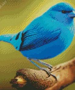 Blue Canary Bird Diamond Painting