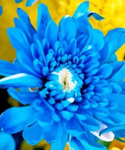 Blue Chrysanthemum Diamond Painting