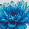 Blue Chrysanthemum Flower Diamond Painting