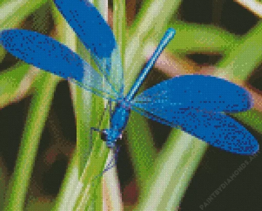 Blue Dragonfly Diamond Painting