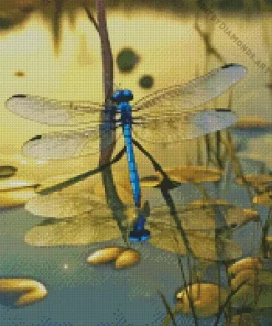 Blue Dragonfly Water Reflection Diamond Painting