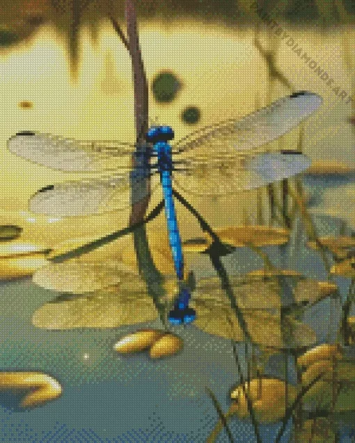 Blue Dragonfly Water Reflection Diamond Painting