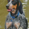 Blue English Coonhound Dog Diamond Painting