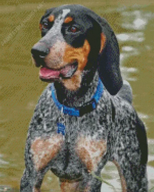 Blue English Coonhound Dog Diamond Painting