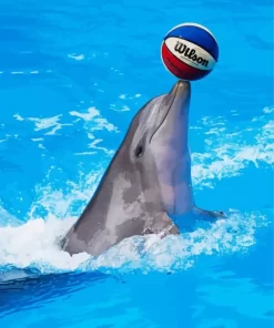 Dolphin Playing With Ball Diamond Painting