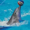 Dolphin Playing With Ball Diamond Painting