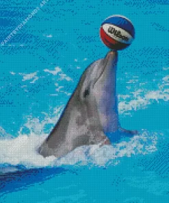 Dolphin Playing With Ball Diamond Painting