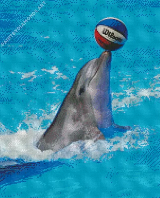 Dolphin Playing With Ball Diamond Painting