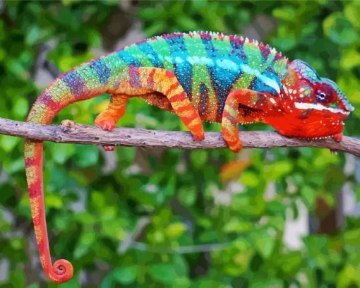 Panther Chameleon Diamond Painting