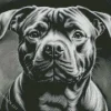 Black And White Staffordshire Diamond Painting