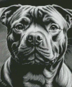 Black And White Staffordshire Diamond Painting