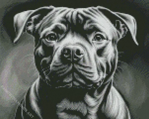 Black And White Staffordshire Diamond Painting