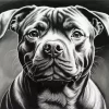 Black And White Staffordshire Diamond Painting