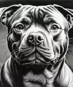 Black And White Staffordshire Diamond Painting