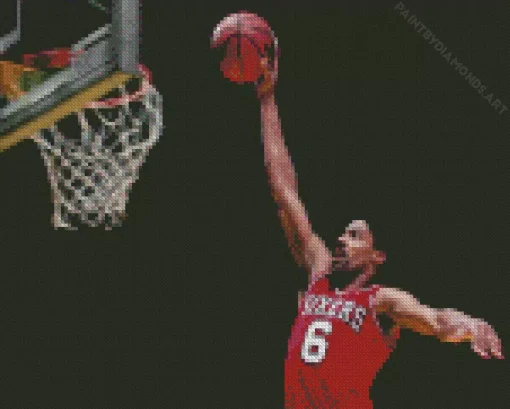 The Dr Julius Erving Diamond Painting