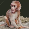 Baby Monkey Diamond Painting