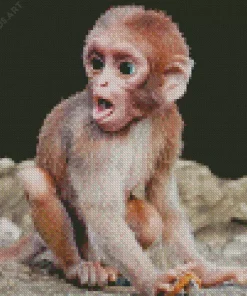 Baby Monkey Diamond Painting