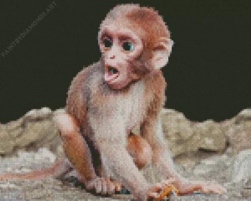 Baby Monkey Diamond Painting