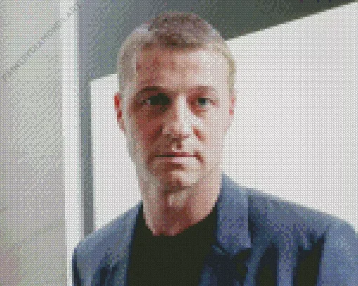 Ben Mckenzie Diamond Painting