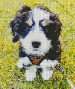 Bernedoodle Puppy Diamond Painting