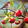 Bird Apple Tree Diamond Painting