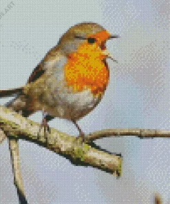 Bird Singing Diamond Painting