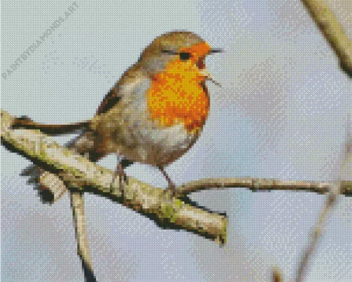 Bird Singing Diamond Painting