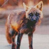 Black And Red Fox Diamond Painting