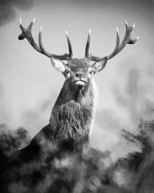 Black And White Deer Diamond Painting