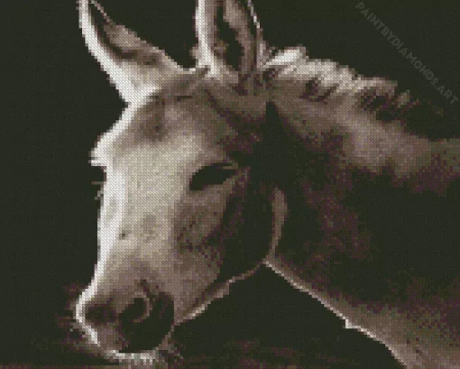 Black And White Donkey Diamond Painting