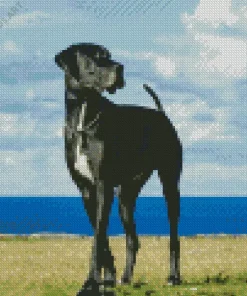 Black And White Great Dane Diamond Painting