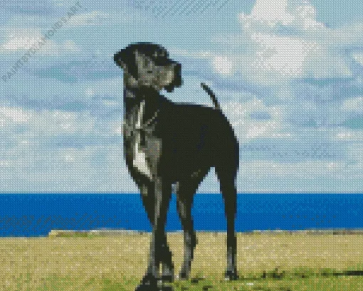 Black And White Great Dane Diamond Painting