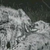 Black And White Hyena Diamond Painting