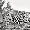 Black And White Leopard Diamond Painting