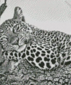 Black And White Leopard Diamond Painting