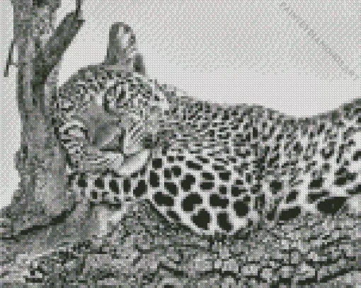 Black And White Leopard Diamond Painting