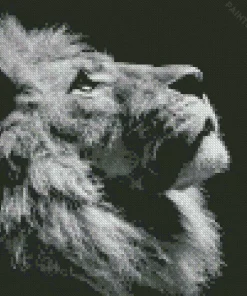 Black And White Lion Diamond Painting