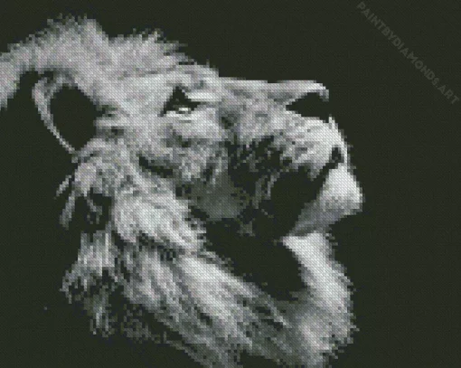 Black And White Lion Diamond Painting