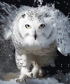 Black And White Owl Diamond Painting