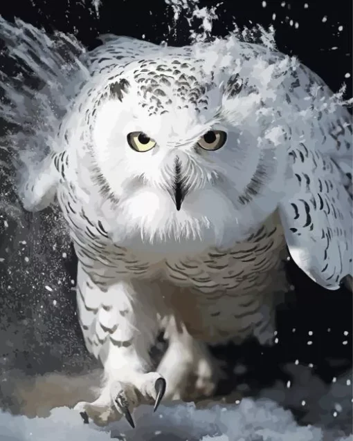 Black And White Owl Diamond Painting