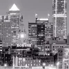 Black And White Philadelphia Skyline Diamond Painting