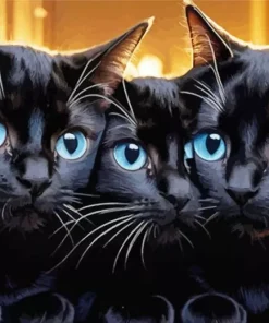 Blue Eyed Black Cats Diamond Painting