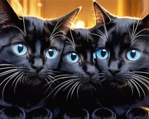 Blue Eyed Black Cats Diamond Painting