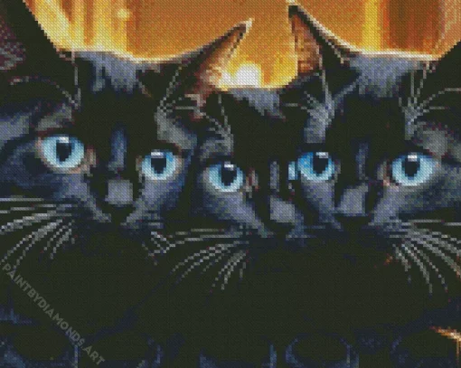 Blue Eyed Black Cats Diamond Painting