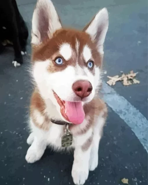 Blue Eyed Brown Husky Dog Diamond Painting