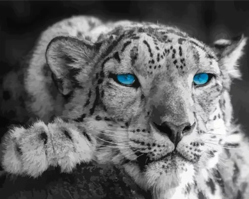 Blue Eyed Snow Leopard Diamond Painting