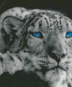 Blue Eyed Snow Leopard Diamond Painting