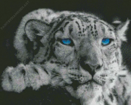 Blue Eyed Snow Leopard Diamond Painting