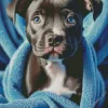 Blue Eyed Staffy Diamond Painting