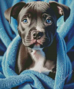 Blue Eyed Staffy Diamond Painting